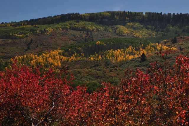 View from Hermit's Rest on Highway 92